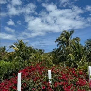 Meet your Posher, Masha